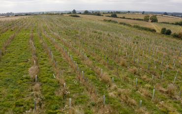NEWS: Frequently asked questions on Vigilis-Bio's biodegradability