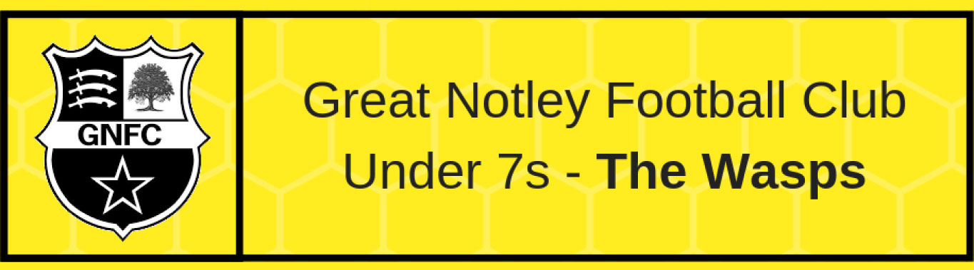 We're sponsoring the U7 GNFC Wasps! | Suregreen News