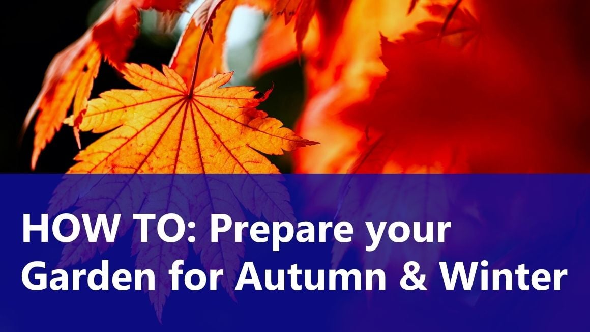 Tips to Prepare Your Garden for Autumn & Winter
