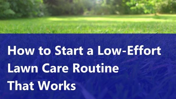 How to Start a Low-Effort Lawn Care Routine That Works