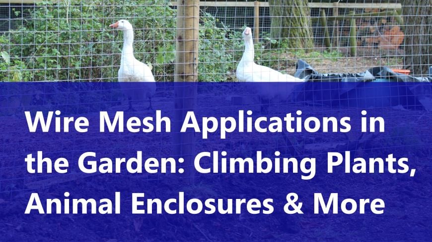 Wire Mesh Applications in the Garden: Climbing Plants, Animal Enclosures & More