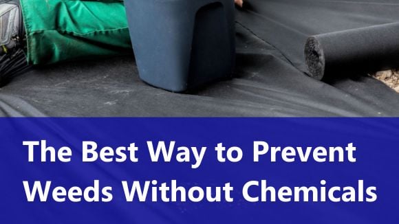 The Best Way to Prevent Weeds Without Chemicals
