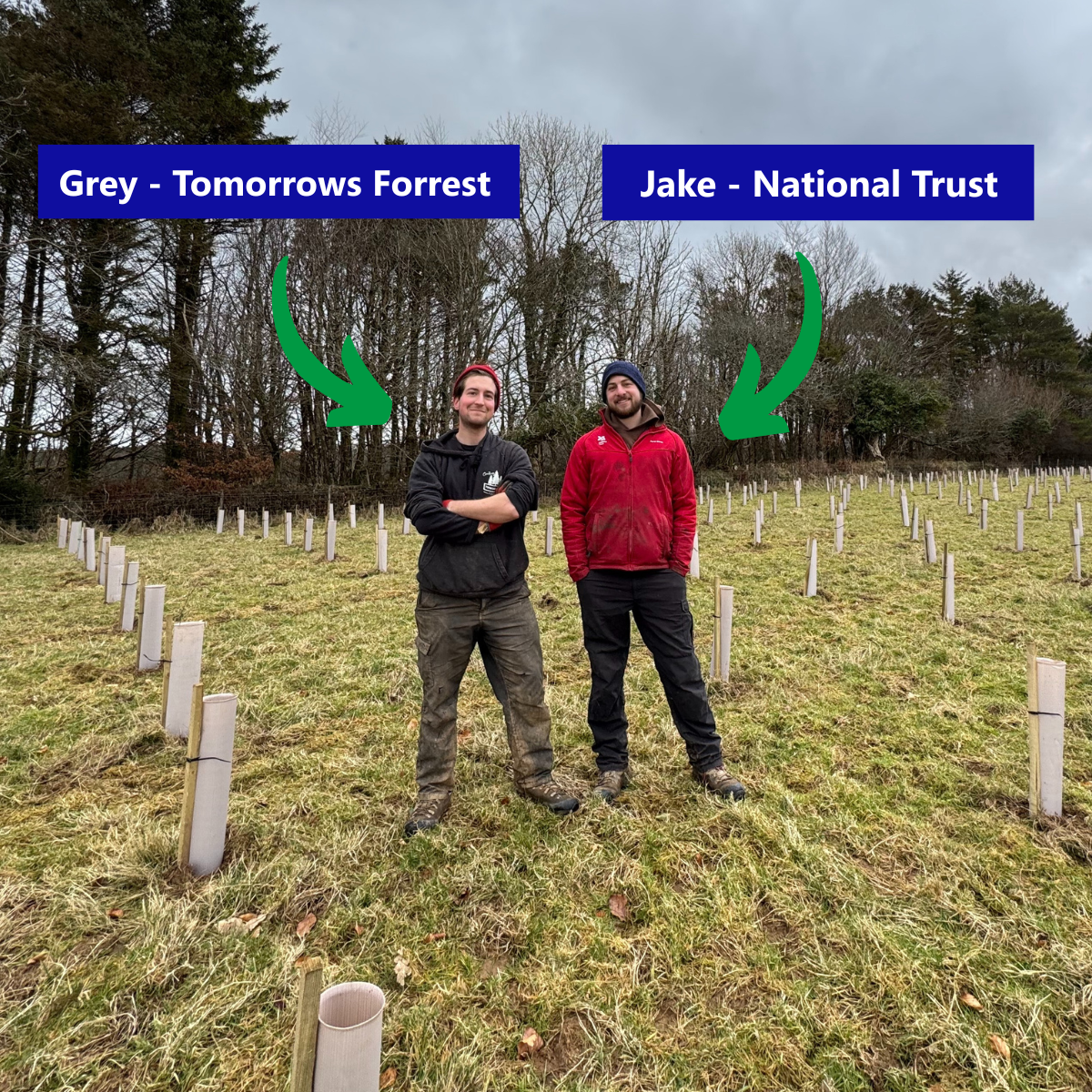 Second image for Supporting Large-Scale Conservation with Vigilis Biodegradable Tree Shelters