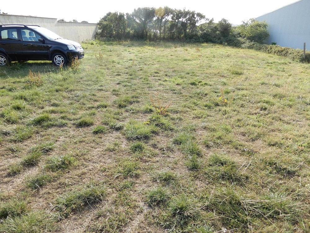 Second image for PP50 Year-Round Car Park - Guernsey Airport