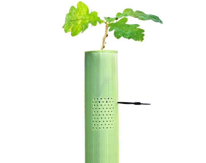 Third image for Vigilis-VentAir Standard Tree Shelters