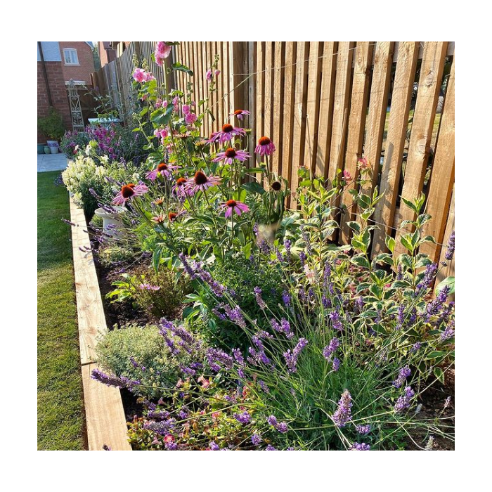 Railway sleeper on sale garden edging