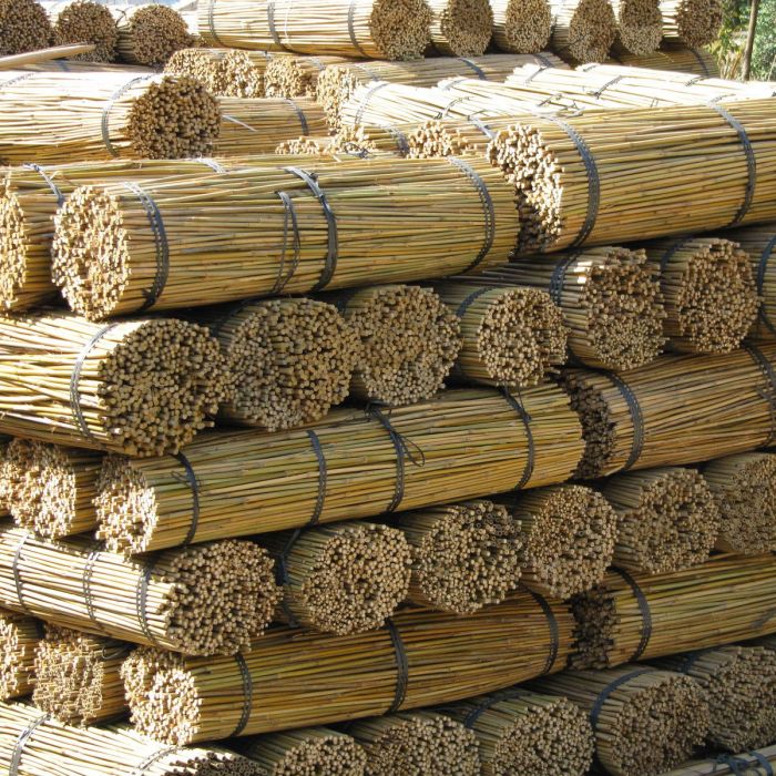 12-14mm Thick Garden Plant Support Poles Bamboo Canes 2.1m/ 210cm/ 7ft 50pack 