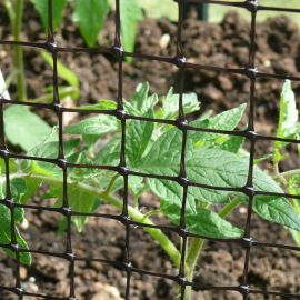 Suregreen | Plastic Garden Netting | 19mm Hole | 2m x 100m | BOP Plastic Mesh