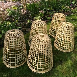 Bamboo Cloches | 5 Pack