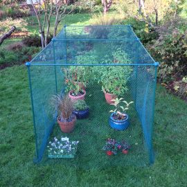 Build a cage set up with plant pots inside 