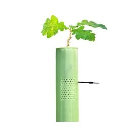 Vigilis-VentAir Standard Tree Shelters