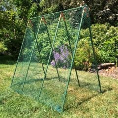 Pea Master | Netting attached, whole frame with netting