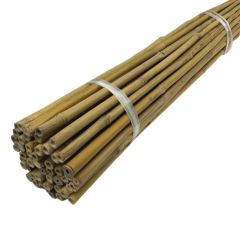 6ft Bamboo Canes (1.8m) | 14-16mm thick | 10 Pack | Supplied in Easy-To-Handle Packaging