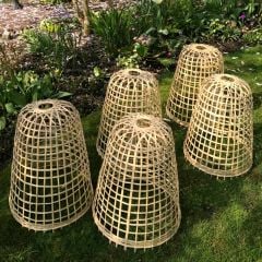 Bamboo Cloches | 5 Pack