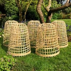 Bamboo Cloches | 5 Pack