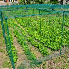 Build a cage set up with plants inside 