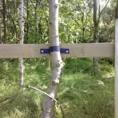 Cross bar supporting a tree