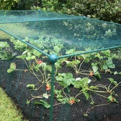 Anti-Butterfly Cage - 1m x 1m x 1.25m