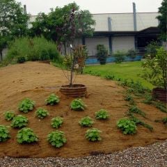 Greenfix Mulchmat Type 11 | Non-chemical weed control | 3 year Lifespan | Low Maintenance