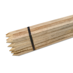 Oak Tree Stakes