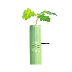Vigilis-VentAir Standard Tree Shelters