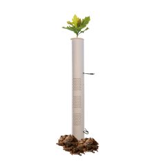 Vigilis-Bio VentAir Tree Shelters