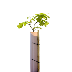 Vigilis-Bio Tree Shelters