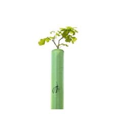Vigilis XL Standard Tree Shelters