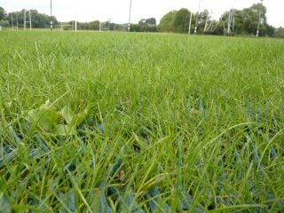 Main image forGrass Reinforcement Mesh Full Product Leaflet