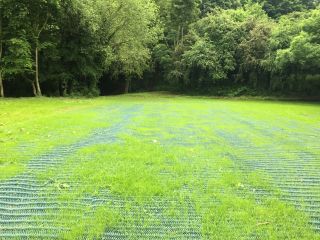 grass reinforcement mesh in action