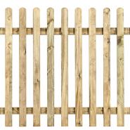 Picket Fencing 