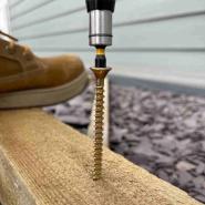 Sleeper Screws