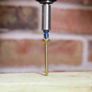 Woodscrews