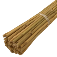 Bamboo Supports