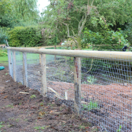 Agricultural Wire Fencing