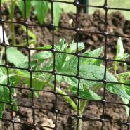 Plant Support Netting 