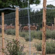 Vineyard Fencing
