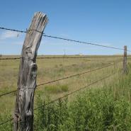 Straining Line Wire and Barbed Wire 