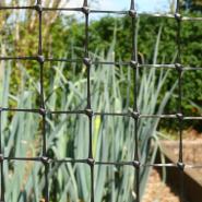 Mesh and Netting 