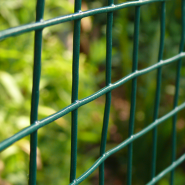 Security Mesh