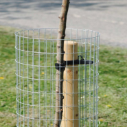 Tree Guard Mesh
