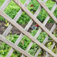 Garden Trellis & Screening