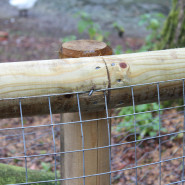 Wire Mesh Rolls 