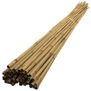 Bamboo Canes