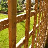 Chicken/Rabbit Wire