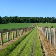Agricultural Fencing