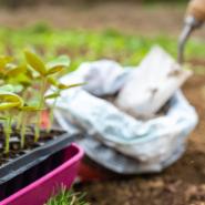 Fertilisers & Treatments                          