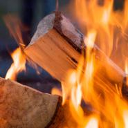 Firewood