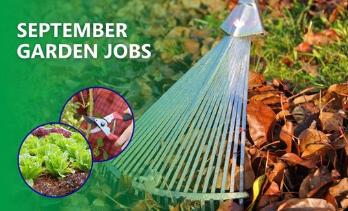 leaves in the garden with text stating gardening jobs for september