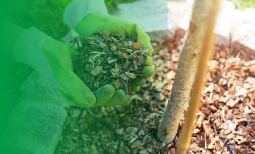 a person adding a layer of mulch to their garden